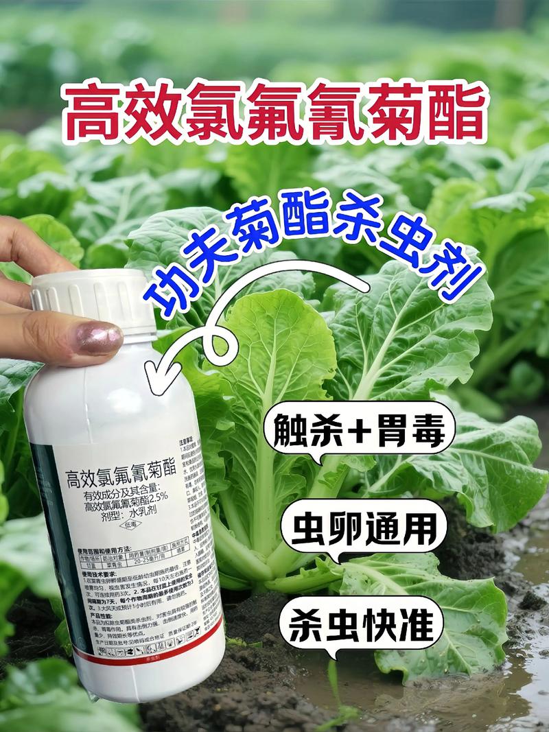 吉安代生中心:农药对供卵代生妈妈的危害